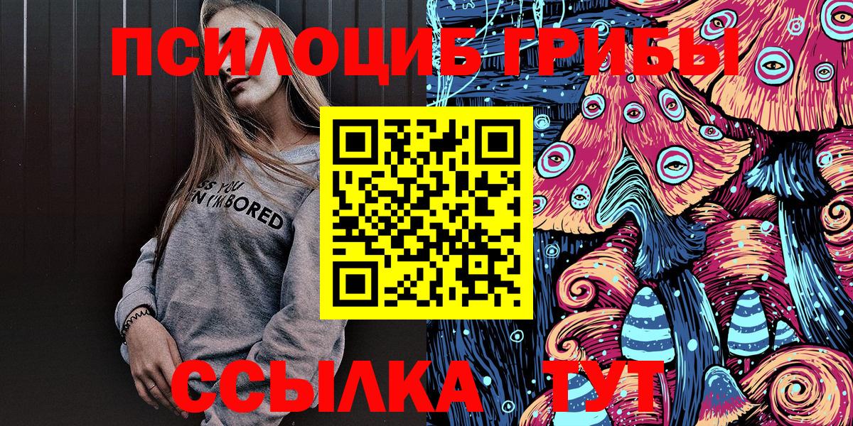 Псилоцибиновые грибы Psilocybine cubensis Лесной
